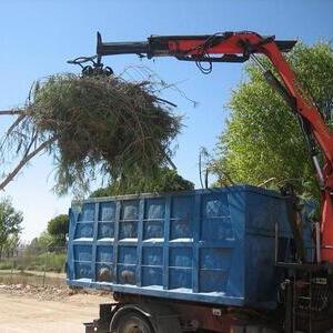 Servicios